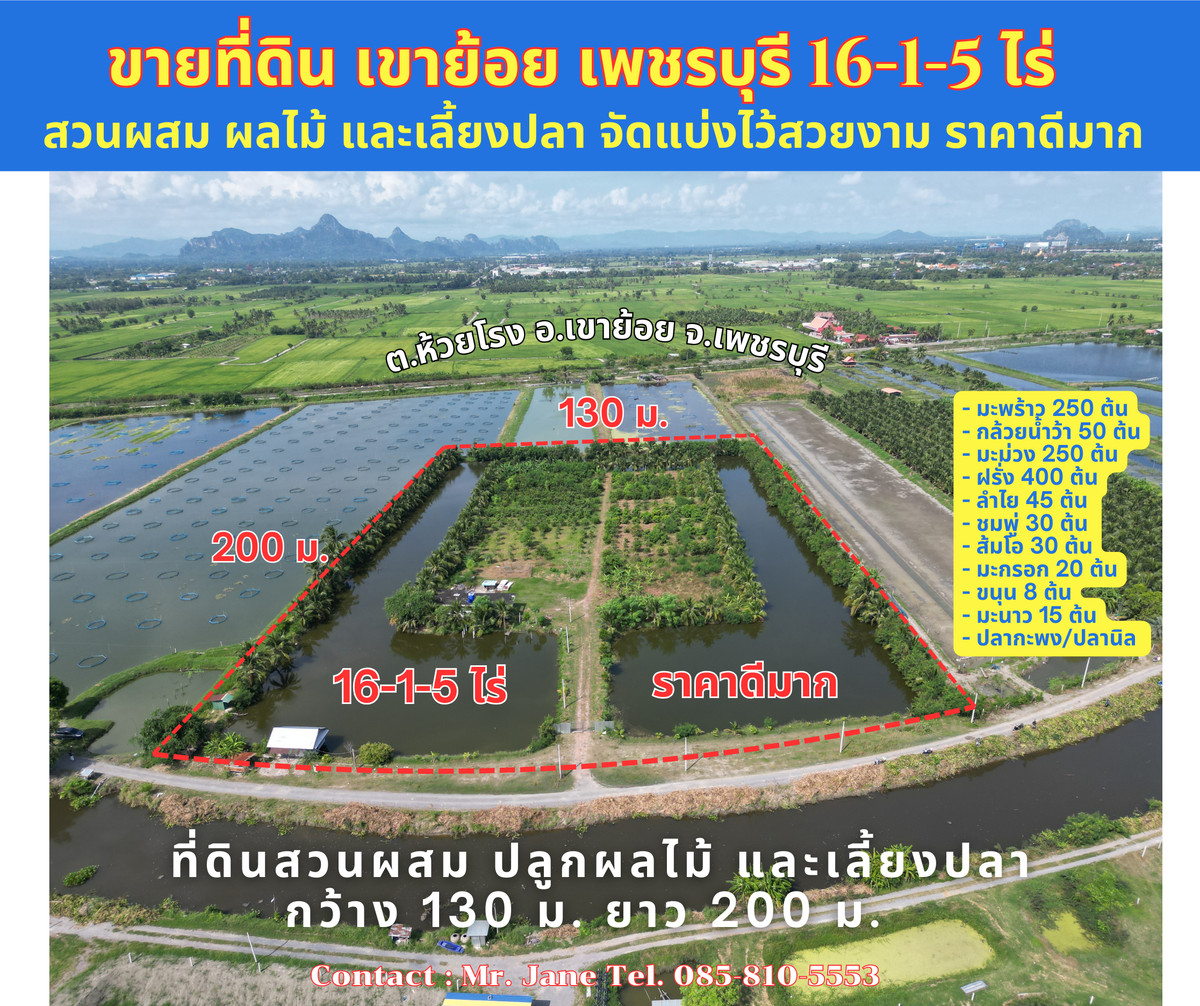 Land for sale, beautiful square shape, mixed fruit orchard and fish farming, very good view, Huai Rong Subdistrict, Khao Yoi District, Phetchaburi, 16-1-5 rai, very good price, selling for only 390,000 baht per rai (or 975 baht per square wa). Total selli Land for sale, beautiful square shape, mixed fruit orchard and fish farming, very good view, Huai Rong Subdistrict, Khao Yoi District, Phetchaburi, 16-1-5 rai, very good price, selling for only 390,000 baht per rai (or 975 baht per square wa). Total selli