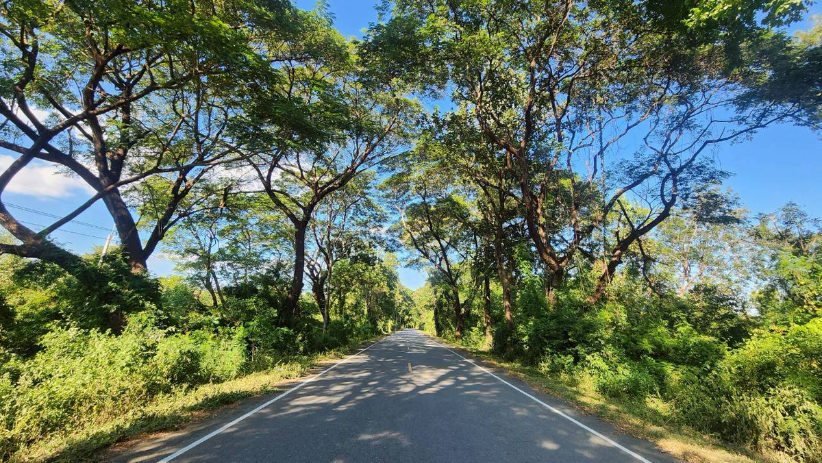 [Urgent sale!] Large plot of land, 76 rai, next to Phahonyothin Road, Samo Don Subdistrict, Ban Tak District, Tak Province, beautiful frontage 425 meters, good location, next to a natural creek. Suitable for investment and agriculture. – รูปที่ 3