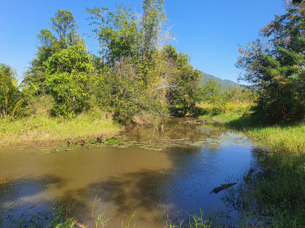 ขาย ที่ดิน เขาใหญ่ ต.​วังไทร​ อ.ปากช่อง 2 ไร่ ​ที่ติดคลอง มีน้ำไหลผ่านตลอดปี – รูปที่ 2