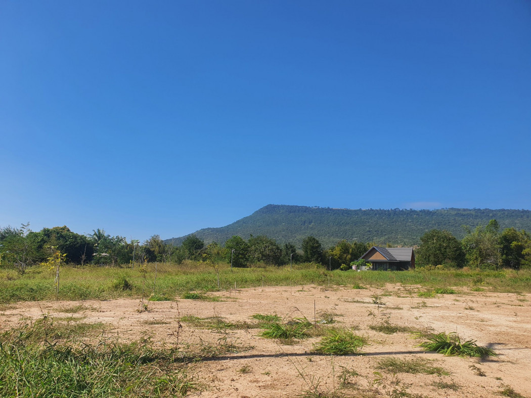 ขาย ที่ดิน เขาใหญ่ ต.​วังไทร​ อ.ปากช่อง 2 ไร่ ​ที่ติดคลอง มีน้ำไหลผ่านตลอดปี – รูปที่ 4