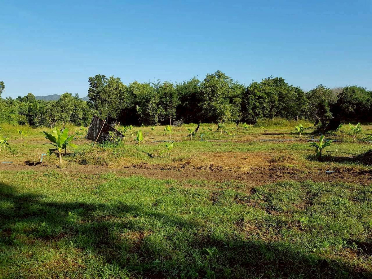 [Urgent sale!] Large plot of land, 76 rai, next to Phahonyothin Road, Samo Don Subdistrict, Ban Tak District, Tak Province, beautiful frontage 425 meters, good location, next to a natural creek. Suitable for investment and agriculture.
