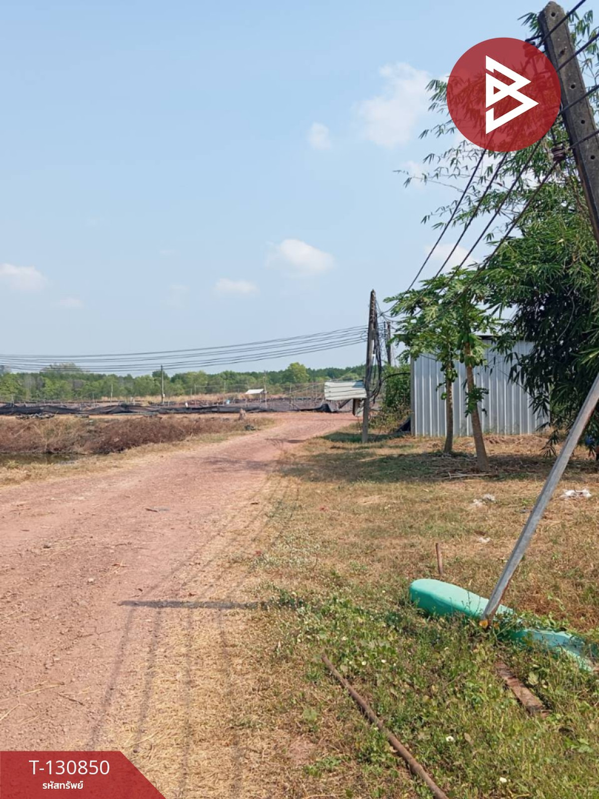 ขายที่ดินบ่อเลี้ยงกุ้ง เนื้อที่ 52 ไร่ 1 งาน 13 ตร.วา นายายอาม จันทบุรี