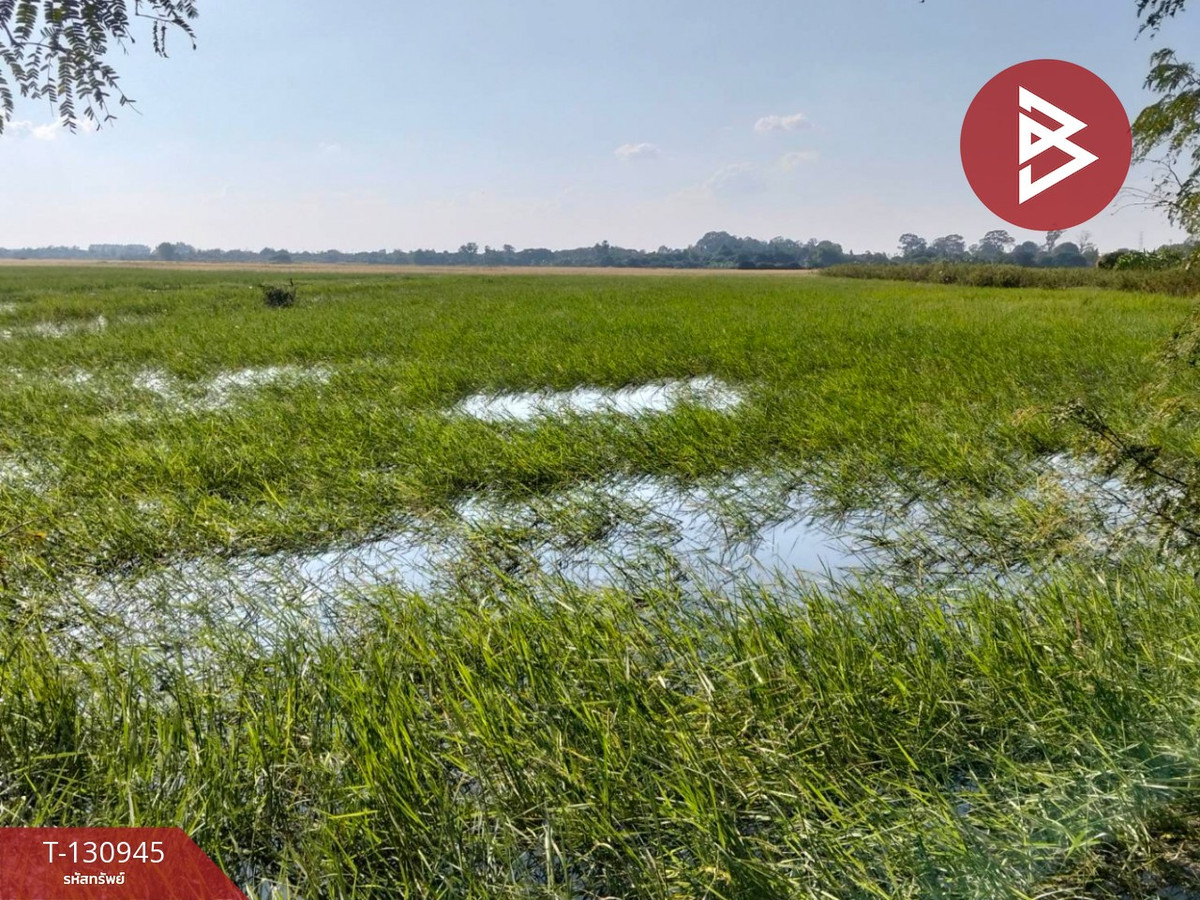 Land for sale, area 5 rai 28 square wa, Ban Khwang Subdistrict, Maharat District, Phra Nakhon Si Ayutthaya. – รูปที่ 2
