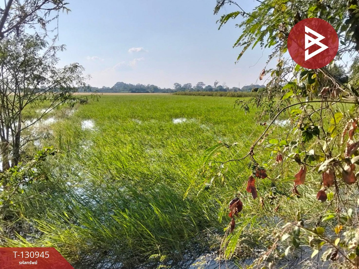 Land for sale, area 5 rai 28 square wa, Ban Khwang Subdistrict, Maharat District, Phra Nakhon Si Ayutthaya. – รูปที่ 3