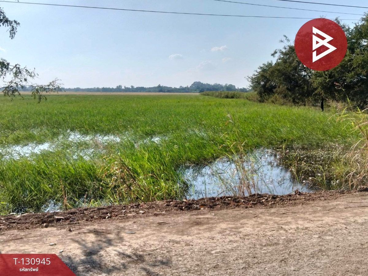 Land for sale, area 5 rai 28 square wa, Ban Khwang Subdistrict, Maharat District, Phra Nakhon Si Ayutthaya. – รูปที่ 4