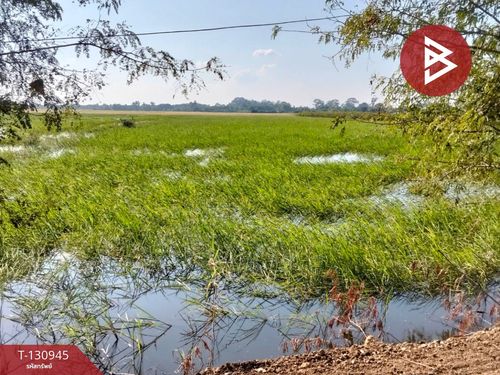 Land for sale, area 5 rai 28 square wa, Ban Khwang Subdistrict, Maharat District, Phra Nakhon Si Ayutthaya.
