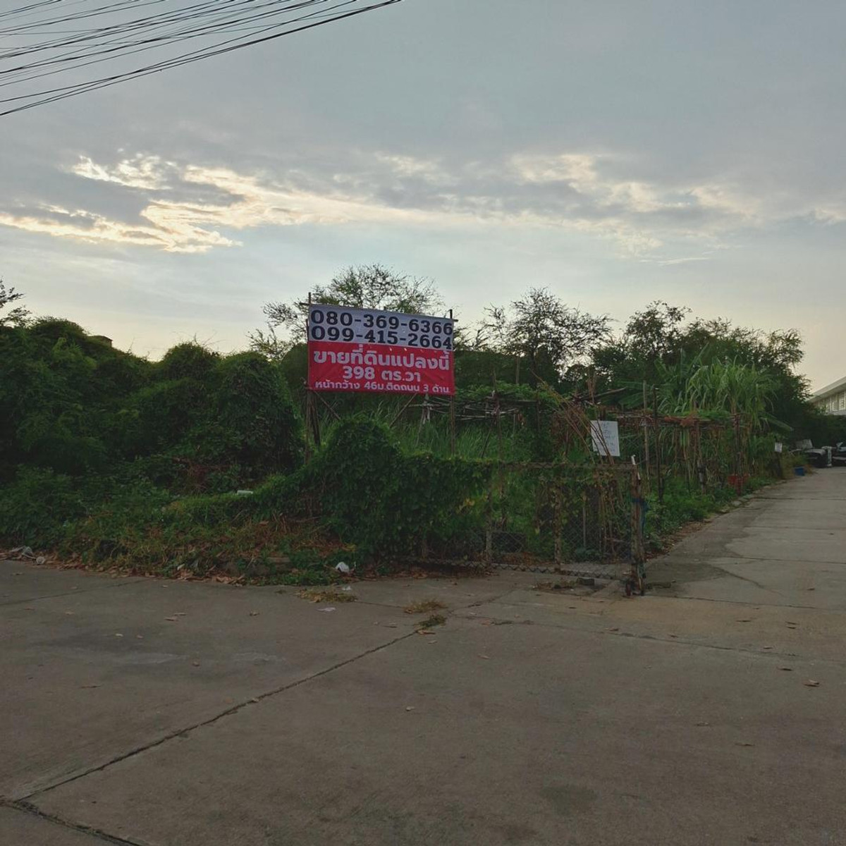 ที่ดินเทพารักษ์ เกือบ 1 ไร่ ทำเลดีเดินทางสะดวก ใกล้ทางด่วน ใกล้รพ.สินแพทย์ สนใจ 📞099 415 2664 , 080 369 6366 ที่ดินเทพารักษ์ เกือบ 1 ไร่ ทำเลดีเดินทางสะดวก ใกล้ทางด่วน ใกล้รพ.สินแพทย์ สนใจ 📞099 415 2664 , 080 369 6366