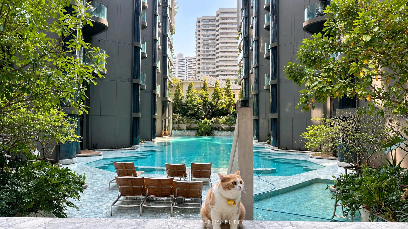 🐾 Pet-Friendly 2-Bedroom Condo | Ashton Residence 41 | 77 sq.m. | 086-929-9929 | LINE: prove.pp