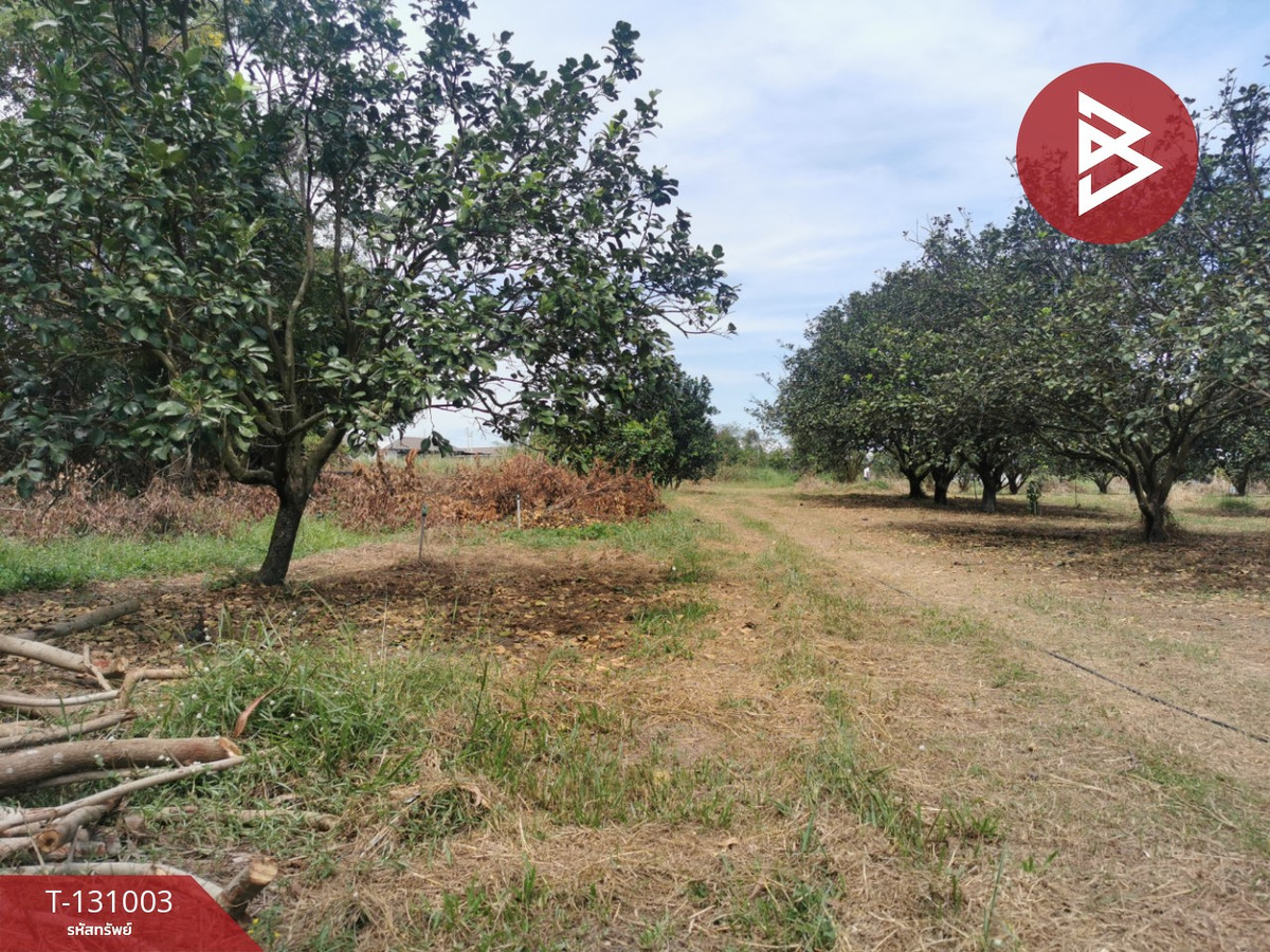 ขายที่ดิน เนื้อที่ 5 ไร่ 3 งาน 77 ตร.วา ศรีมหาโพธิ ปราจีนบุรี – รูปที่ 3