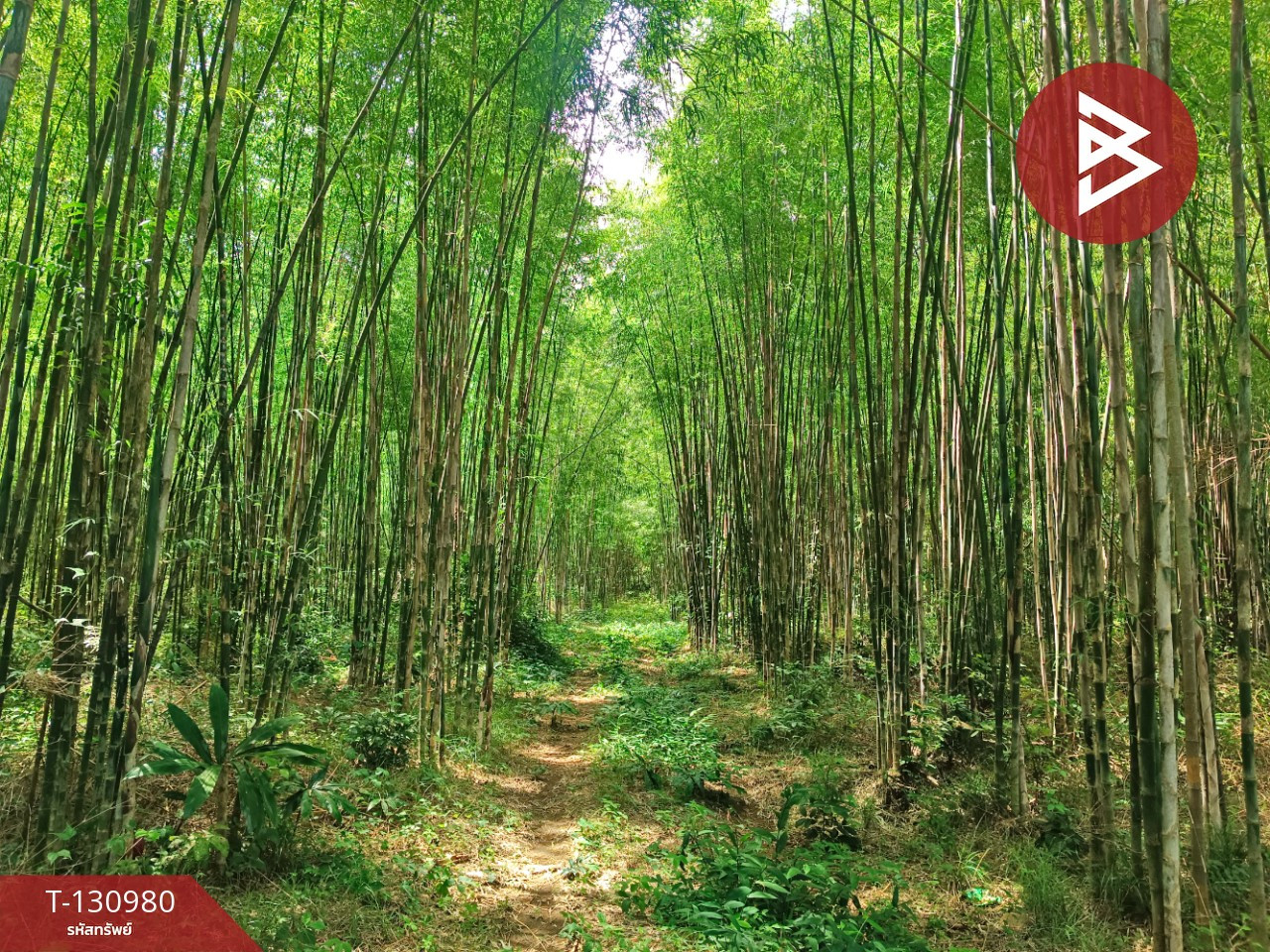 Beautiful land for sale, area 3 rai 3 ngan 8.3 square wah, Laem Ngop District, Trat Province, near the sea. – รูปที่ 4
