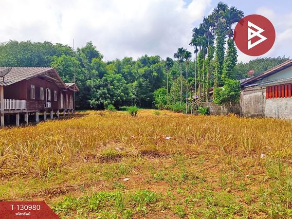 Beautiful land for sale, area 3 rai 3 ngan 8.3 square wah, Laem Ngop District, Trat Province, near the sea.