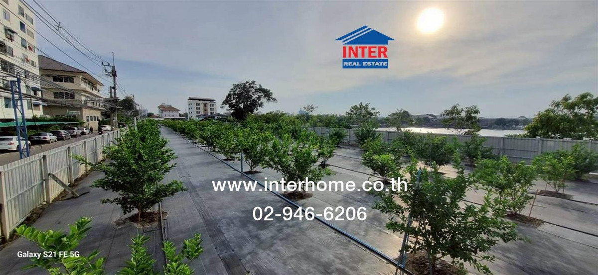 ที่ดินเปล่า 400 ตร.ว. ที่ดิน ซอยรังสิต-ปทุมธานี8 ที่ดินตรงข้ามโรงเรียนธัญวิทย์ ถนนพหลโยธิน ถนนรังสิต-ปทุมธานี8 ธัญบุรี ปทุมธานี ที่ดินเปล่า 400 ตร.ว. ที่ดิน ซอยรังสิต-ปทุมธานี8 ที่ดินตรงข้ามโรงเรียนธัญวิทย์ ถนนพหลโยธิน ถนนรังสิต-ปทุมธานี8 ธัญบุรี ปทุมธานี