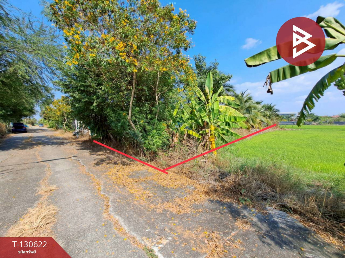 ขายที่ดิน เนื้อที่ 1 งาน ถนนเลียบคลองโยง พุทธมณฑล นครปฐม – รูปที่ 2
