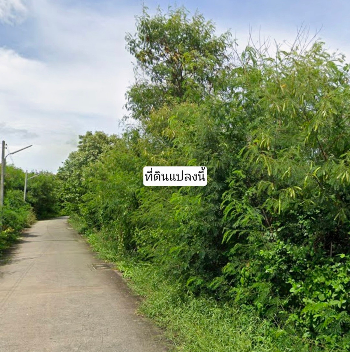 Land for sale in Pa Mok, area 2 rai 40.4 sq m., 1 km from Pa Mok Municipality, 17 km from Ang Thong. – รูปที่ 3