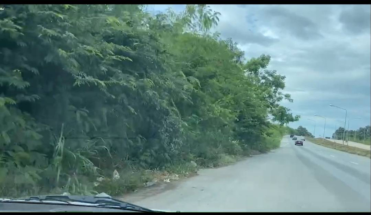 Large plot of land for sale, 56 rai, next to the main road, prime location, AEC line, sells it himself, special price. Large plot of land for sale, 56 rai, next to the main road, prime location, AEC line, sells it himself, special price.
