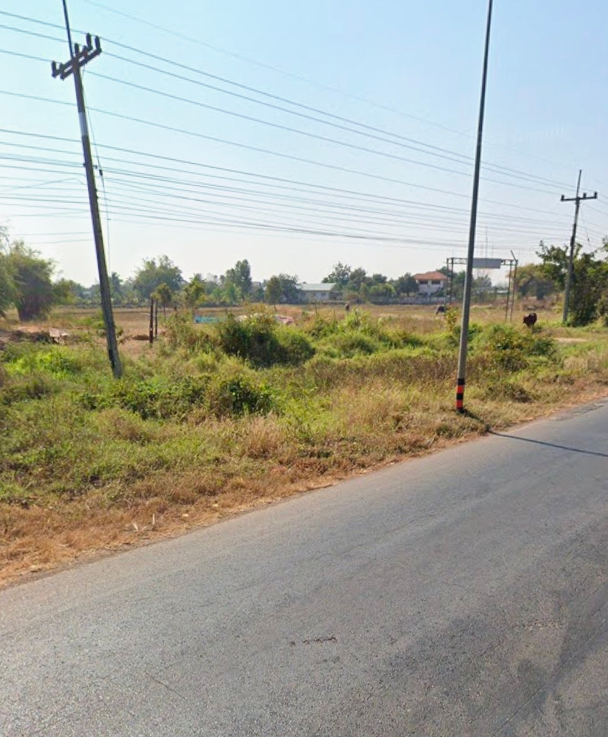 ขายที่ดิน บ้านทองหลาง-ดอนเงิน ขอนแก่น ติดถนน บ้านทุ่ม-มัญจาฯ เนื้อที่ 1 งาน 86.8 ตรว. ห่างตัวเมืองขอนแก่น 20 นาที