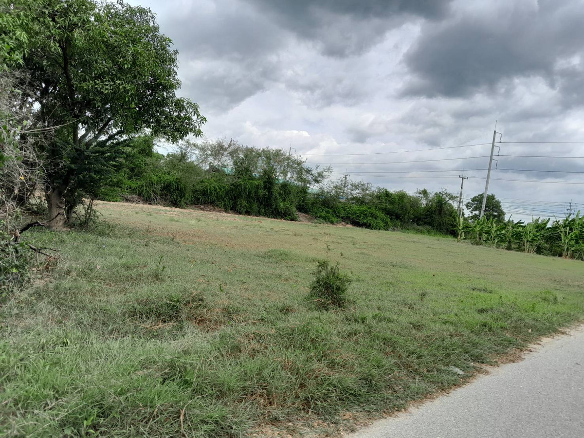 Empty land for sale, beautiful plot, near Highway 346. Empty land for sale, beautiful plot, near Highway 346.