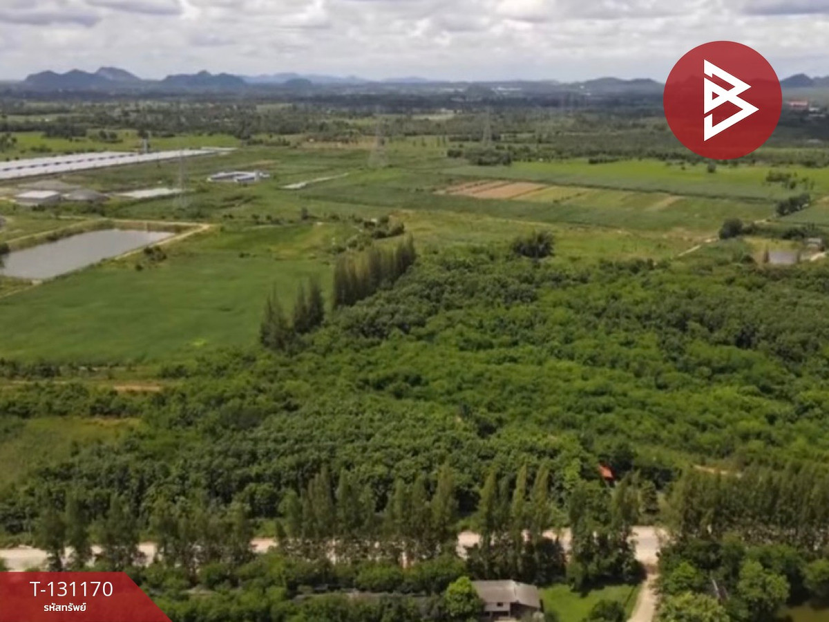 Land for sale, area 46 rai 3 ngan 74 square wah, Pak Tho, Ratchaburi. – รูปที่ 3