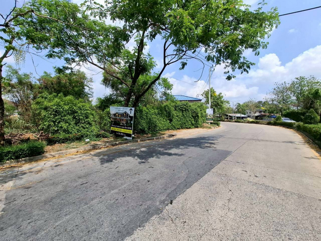 ขาย ที่ดิน ริมถนนหอการค้าไทย 747 ตรว ใกล้ถ.ชัยพฤกษ์แค่ 150 ม. DD – รูปที่ 2