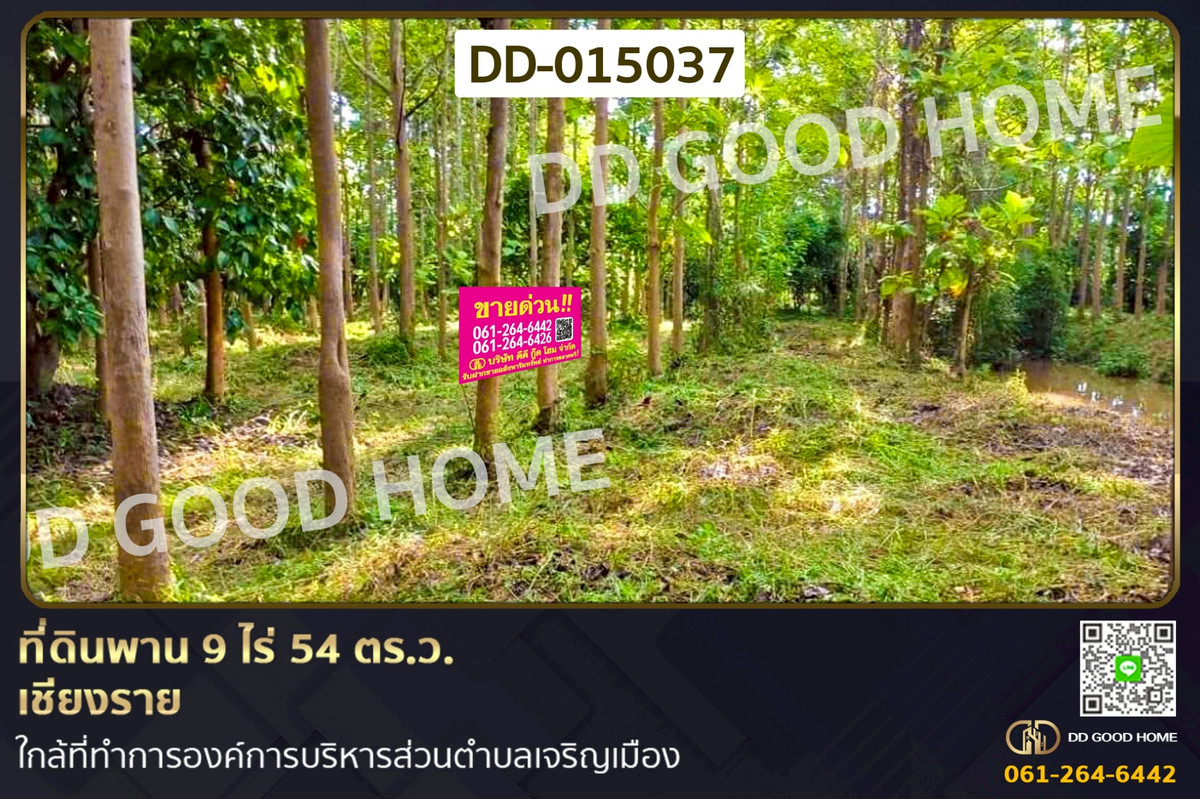 DD-015037 ที่ดินพาน 9 ไร่ 54 ตร.ว. เชียงราย ใกล้ที่ทำการองค์การบริหารส่วนตำบลเจริญเมือง DD-015037 ที่ดินพาน 9 ไร่ 54 ตร.ว. เชียงราย ใกล้ที่ทำการองค์การบริหารส่วนตำบลเจริญเมือง