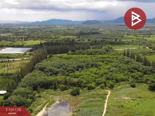 Land for sale, area 46 rai 3 ngan 74 square wah, Pak Tho, Ratchaburi.