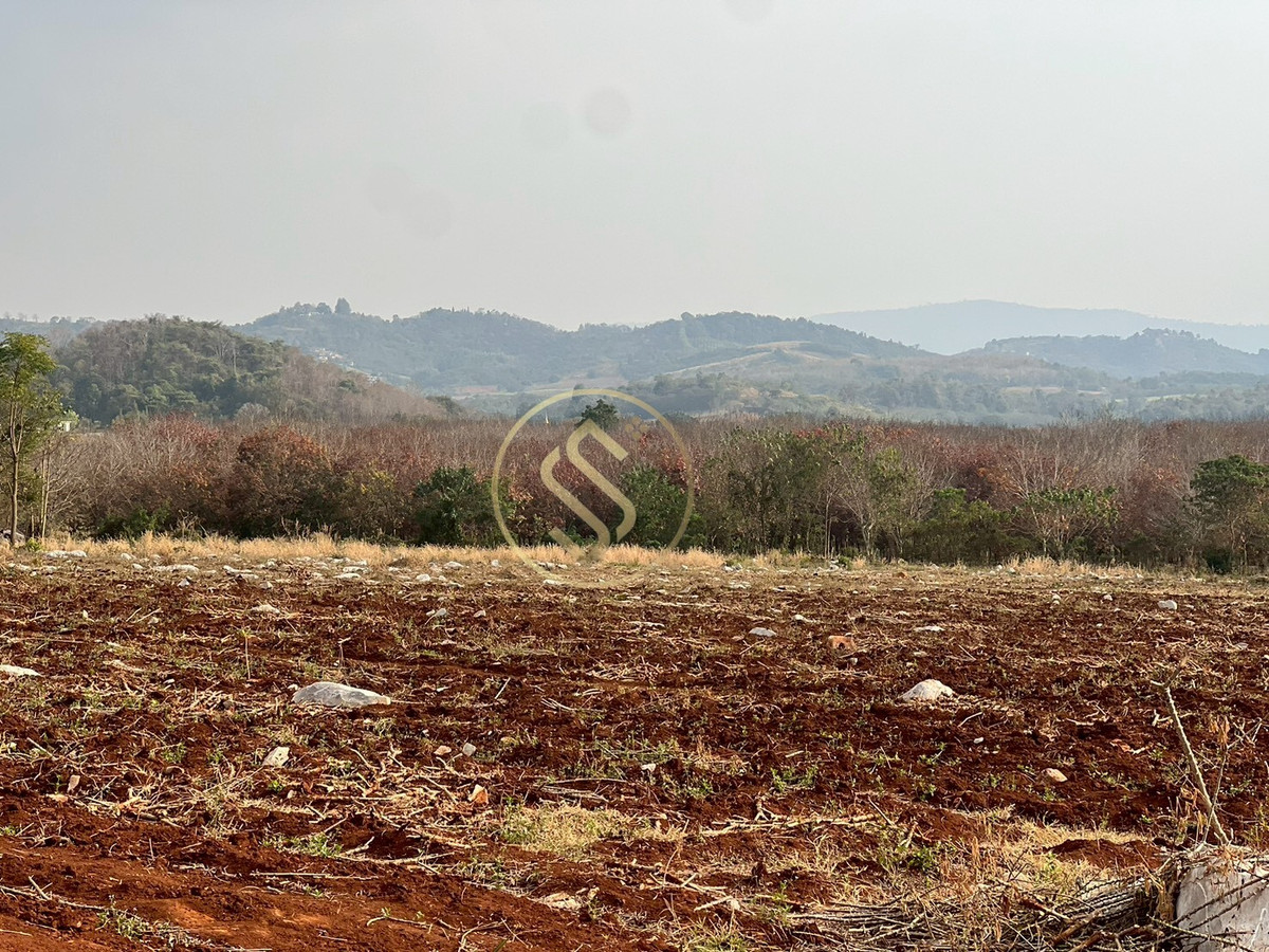 Khao Yai land for sale Beautiful land in the middle of the valley Land next to a mountain, Wang Katha Subdistrict, Pak Chong District, Nakhon Ratchasima Province. Khao Yai land for sale Beautiful land in the middle of the valley Land next to a mountain, Wang Katha Subdistrict, Pak Chong District, Nakhon Ratchasima Province.