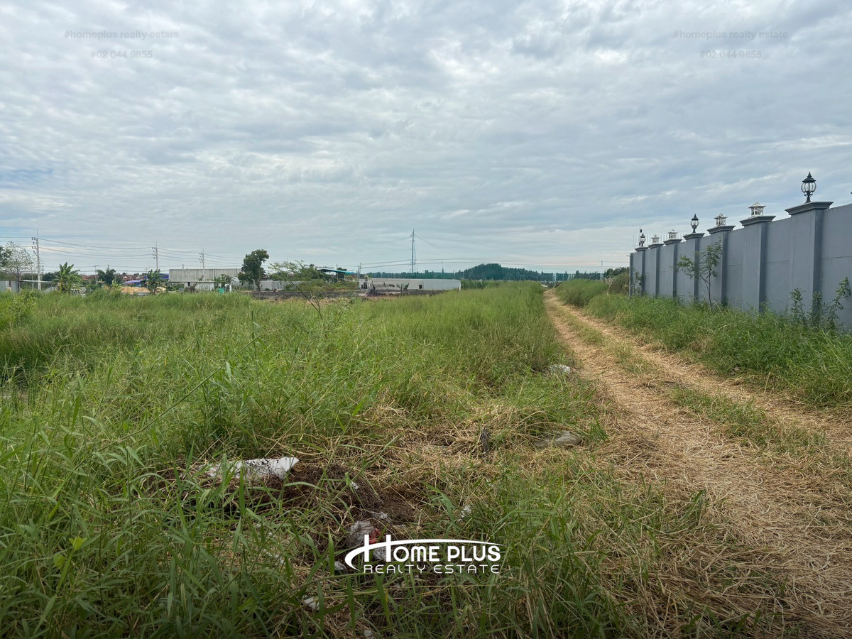 ที่ดินซอยบงกช79 ตำบลคลองสอง อำเภอคลองหลวง ปทุมธานี – รูปที่ 3