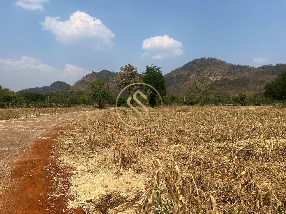 Empty land for sale in Khao Yai, Thanarat Road, next to the luxury home project Miracle V Khao Yai, 88 rai. Empty land for sale in Khao Yai, Thanarat Road, next to the luxury home project Miracle V Khao Yai, 88 rai.