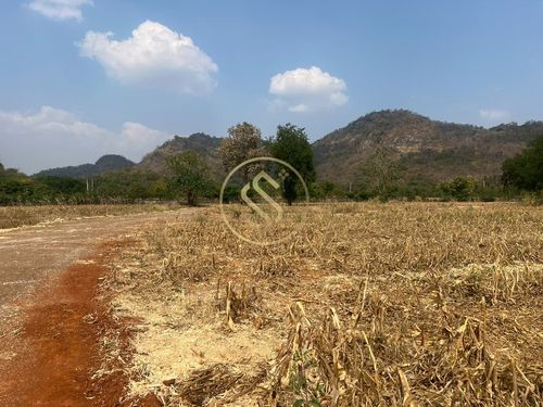 Empty land for sale in Khao Yai, Thanarat Road, next to the luxury home project Miracle V Khao Yai, 88 rai.