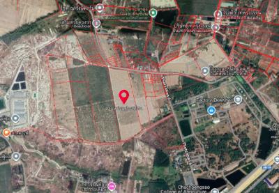 ขายที่ดิน 43 ไร่ 1 งาน 32 ตร.วา อ.พนมสารคาม จ.ฉะเชิงเทรา  CX-143366