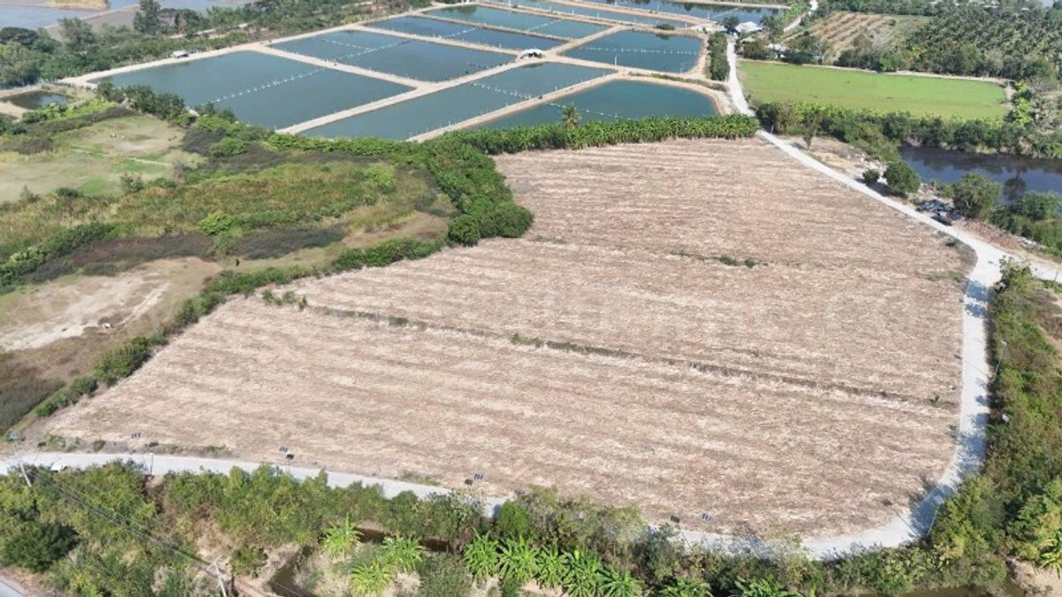 Vacant land, already filled, 12-3-22 rai, Huai Muang, Nakhon Pathom – รูปที่ 4