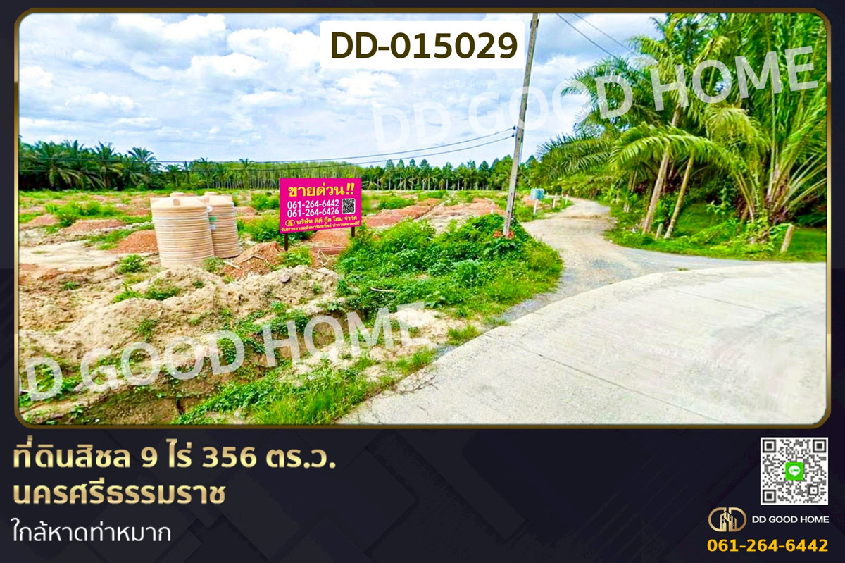 DD-015029 Land for sale in Sichon, Nakhon Si Thammarat, 9 rai 356 sq.wa. (approximately 39 acres).