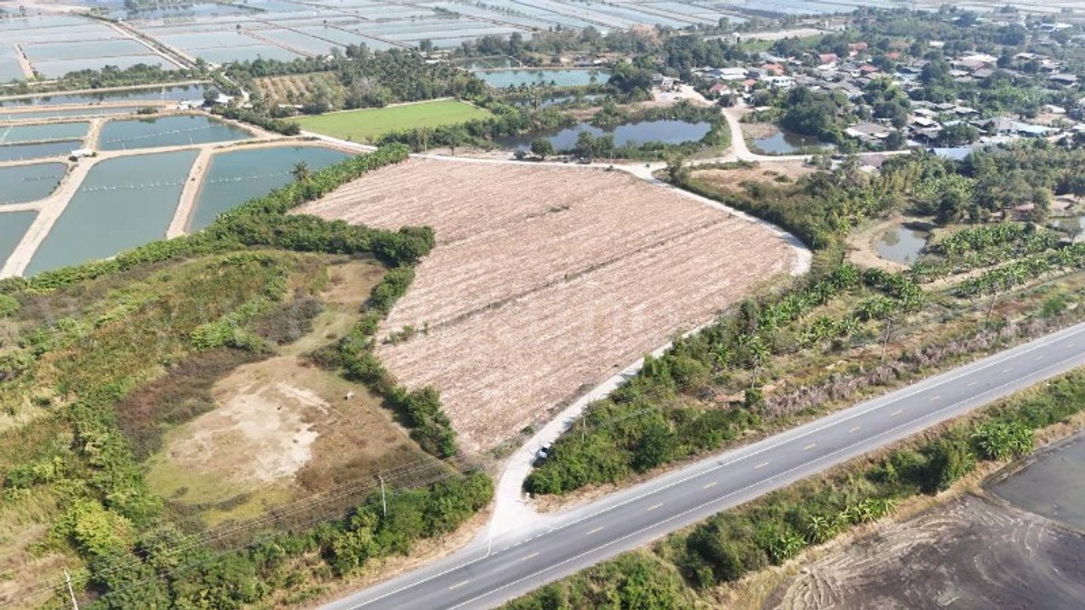Vacant land, already filled, 12-3-22 rai, Huai Muang, Nakhon Pathom – รูปที่ 3