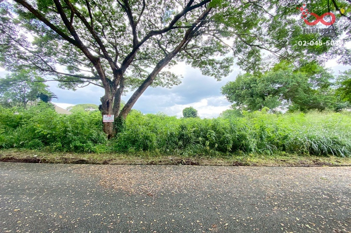 Land for sale, Muak Lek Paradise Resort, Pak Chong, 319 sq m, beautiful plot. – รูปที่ 4