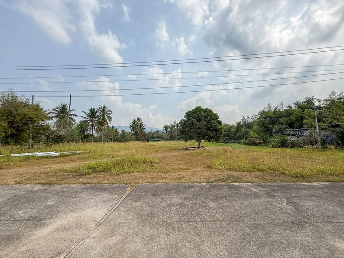 Natural land for sale, adjacent to a lake, Sriracha, Nong Kham-Ban Khong Dara. The land is in perfect condition. Natural land for sale, adjacent to a lake, Sriracha, Nong Kham-Ban Khong Dara. The land is in perfect condition.