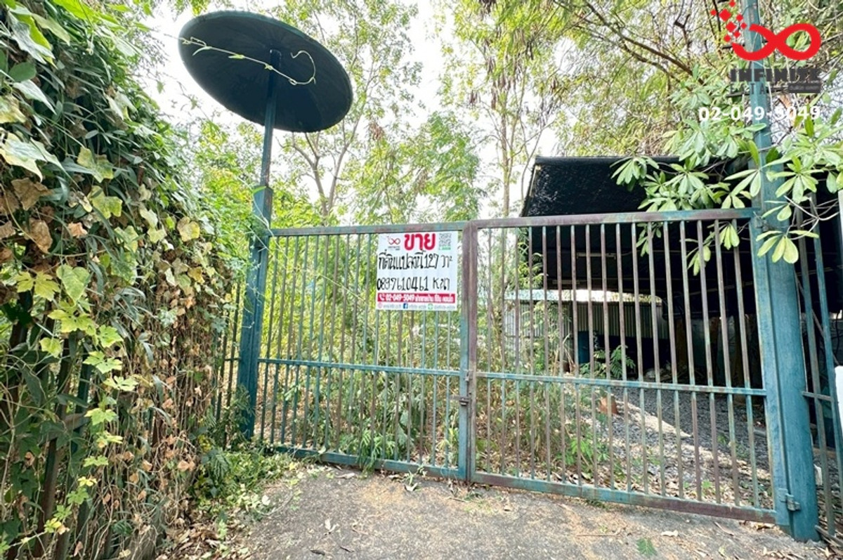 Land for sale 127 sq m. Sukhumvit 103 - Udomsuk 52 - Bangna-Trad 21 – รูปที่ 3