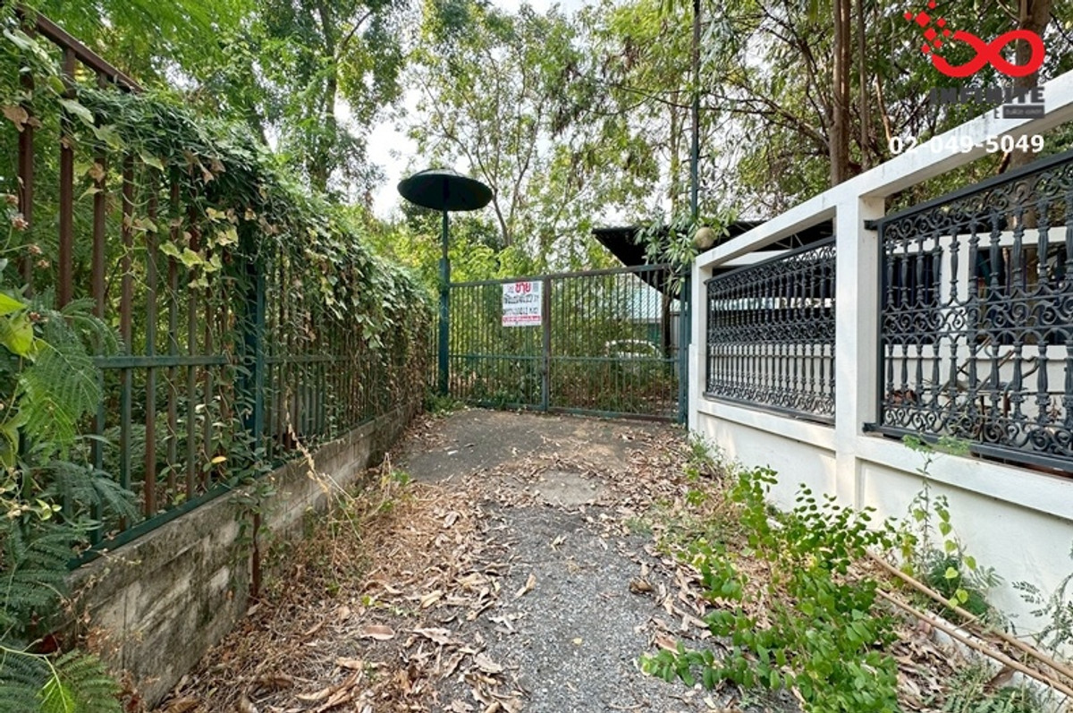 Land for sale 127 sq m. Sukhumvit 103 - Udomsuk 52 - Bangna-Trad 21 – รูปที่ 4