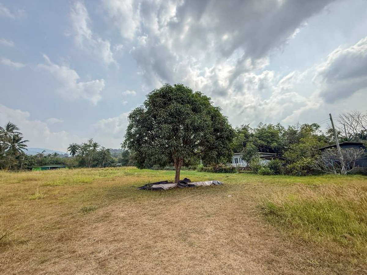 Natural land for sale, adjacent to a lake, Sriracha, Nong Kham-Ban Khong Dara. The land is in perfect condition. – รูปที่ 4