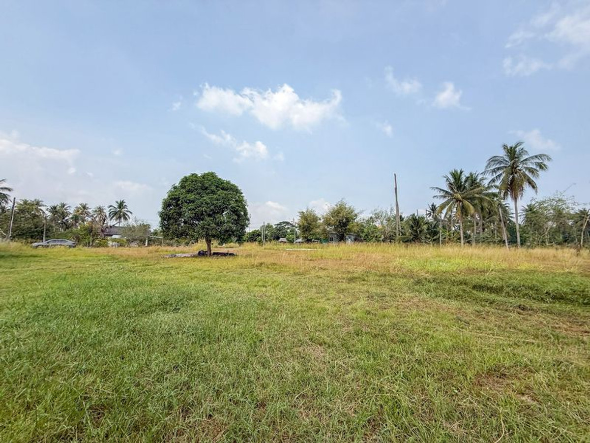 Natural land for sale, adjacent to a lake, Sriracha, Nong Kham-Ban Khong Dara. The land is in perfect condition. – รูปที่ 2