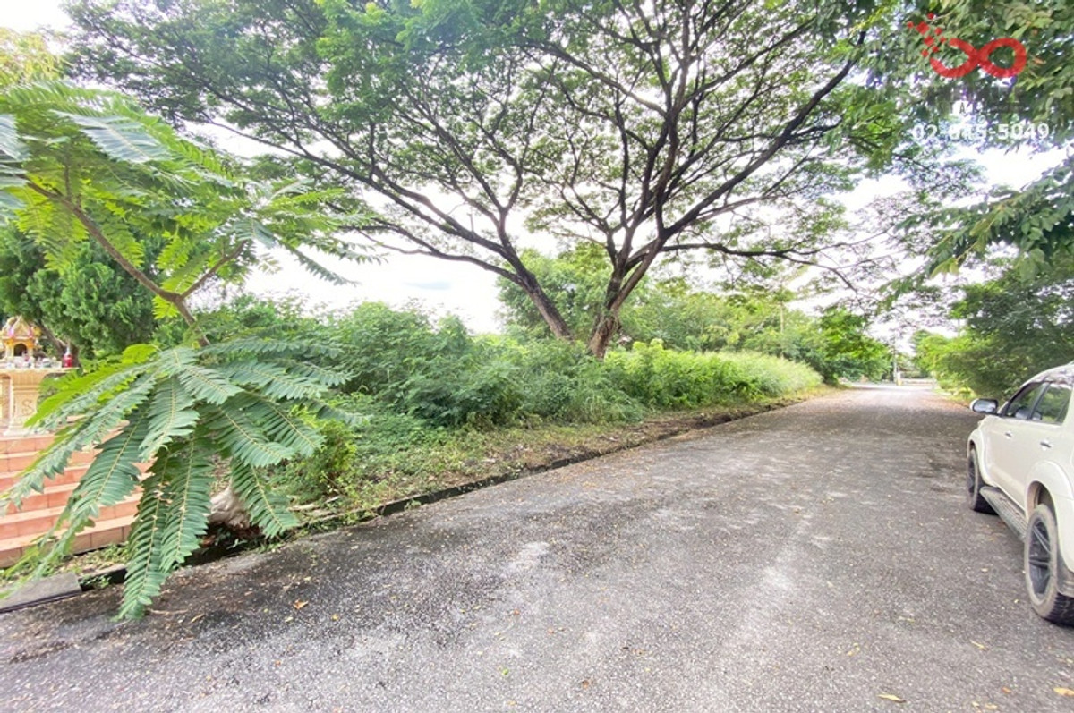 ขายที่ดิน มวกเหล็กพาราไดส์ รีสอร์ท ปากช่อง 284 ตรว.แปลงสวย  – รูปที่ 4