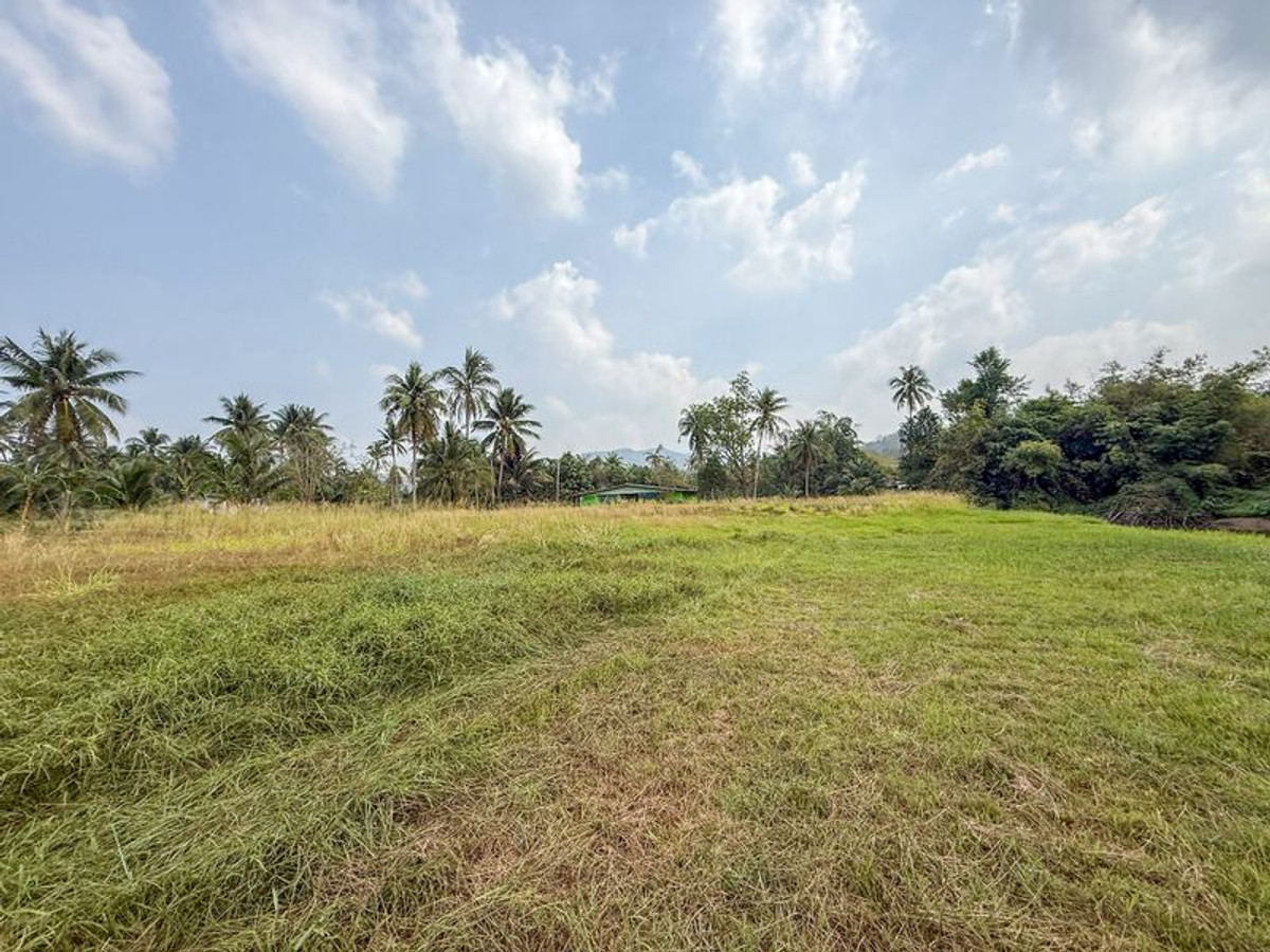 Natural land for sale, adjacent to a lake, Sriracha, Nong Kham-Ban Khong Dara. The land is in perfect condition. – รูปที่ 3