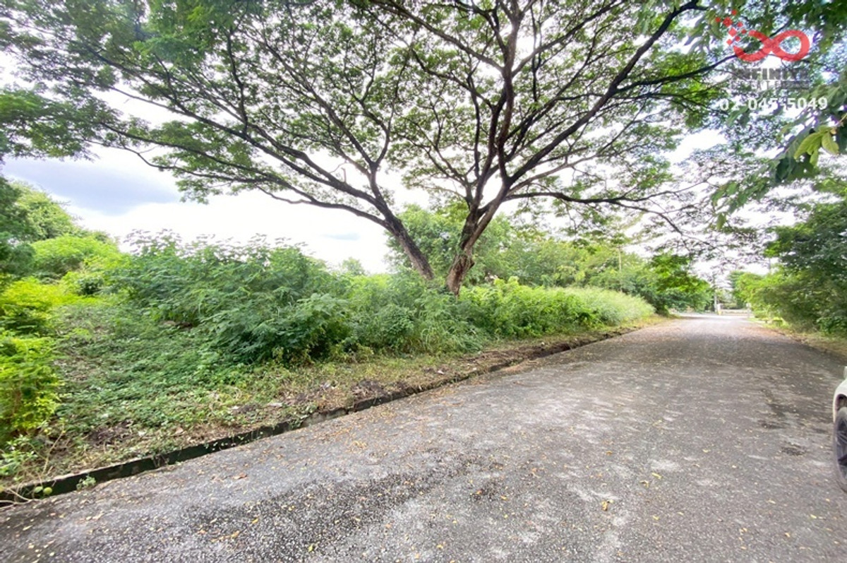 ขายที่ดิน มวกเหล็กพาราไดส์ รีสอร์ท ปากช่อง 284 ตรว.แปลงสวย  – รูปที่ 3