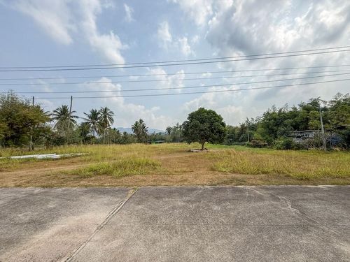 ขายที่ดินธรรมชาติ ติดบึงน้ำ ศรีราชา หนองขาม-บ้านโค้งดารา ที่ดินสภาพสมบูรณ์ 