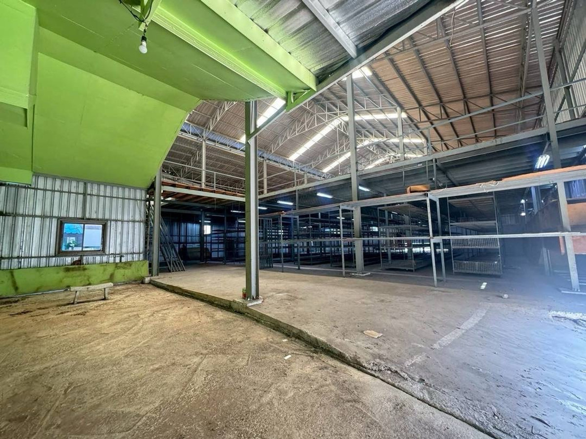 ขายโกดังสินค้าพร้อมบ้านพัก(สำนักงาน) ทำเลศักยภาพ บนที่ดิน 1 ไร่ ผังสีเขียว ซอยร่มประดู่1 บางพลี (ซอยวัดหลวงพ่อโต) – รูปที่ 4
