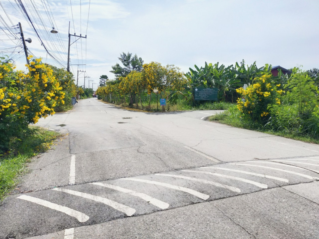 ขายที่ดินถมแล้ว ทำเลศาลายา-คลองโยง เหมาะสร้างบ้าน ใกล้ ม.มหิดล และศูนย์การค้า – รูปที่ 3