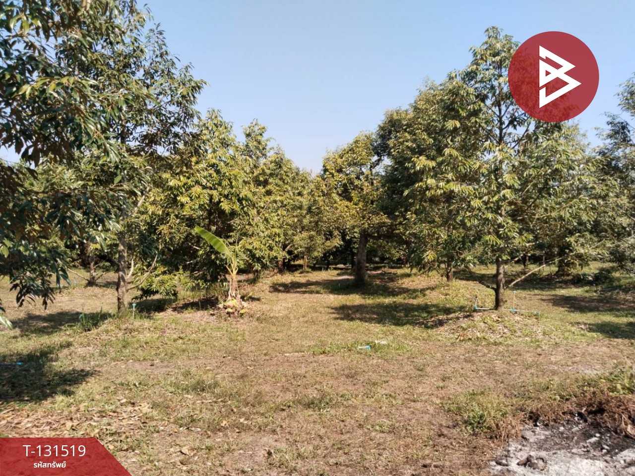 Land for sale, area 2 rai 2 ngan 75 sq m, Tha Mai, Chanthaburi. – รูปที่ 4
