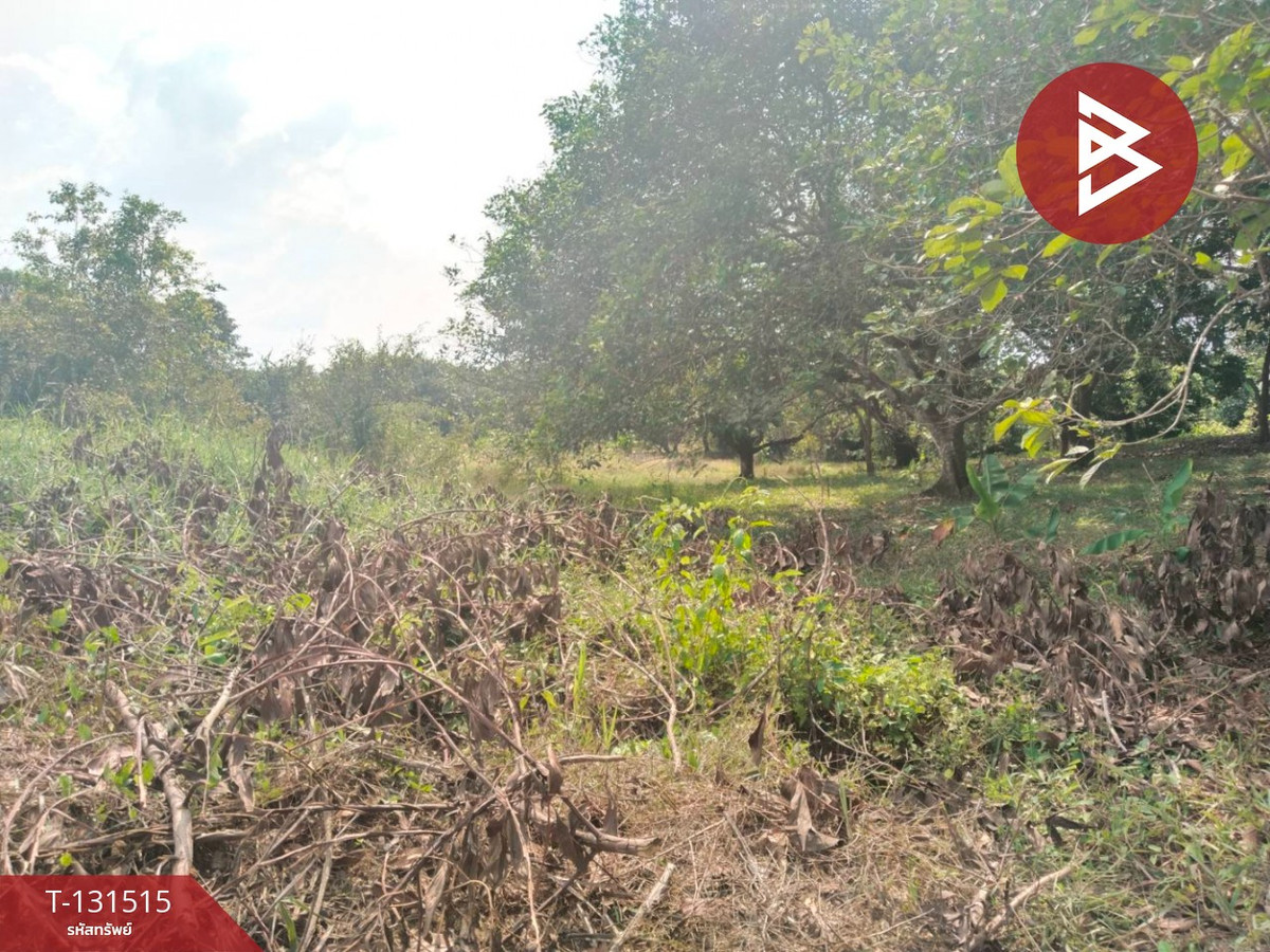 Land for sale, area 3 rai 2 ngan 1 sq m, Tha Mai, Chanthaburi. – รูปที่ 2
