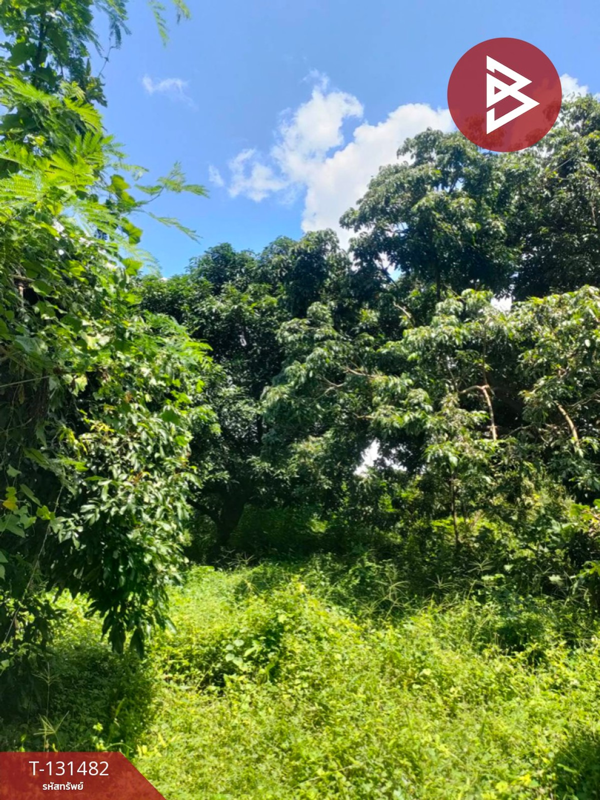 Land for sale, area 3 rai 2 ngan 93.3 square wa, Sikhio District, Nakhon Ratchasima. – รูปที่ 4