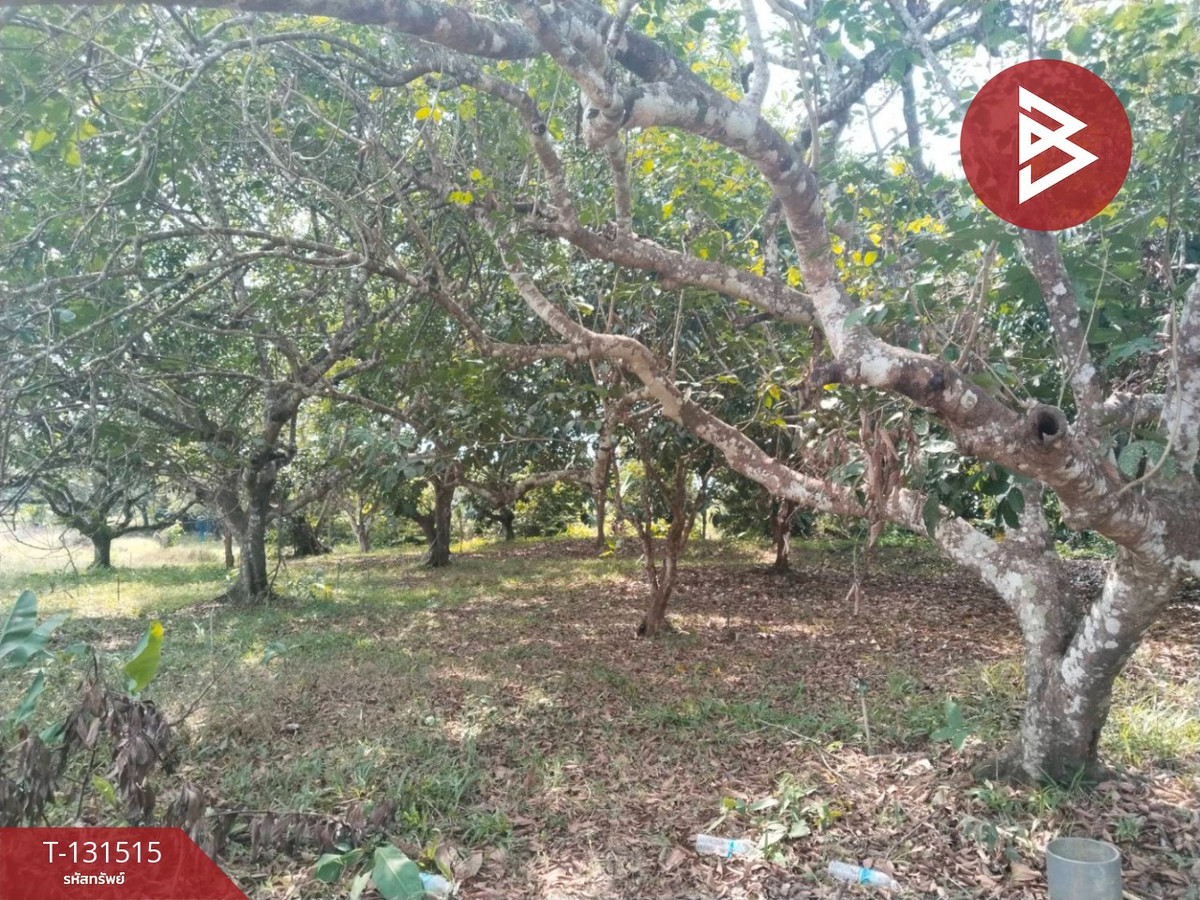 Land for sale, area 3 rai 2 ngan 1 sq m, Tha Mai, Chanthaburi. – รูปที่ 3