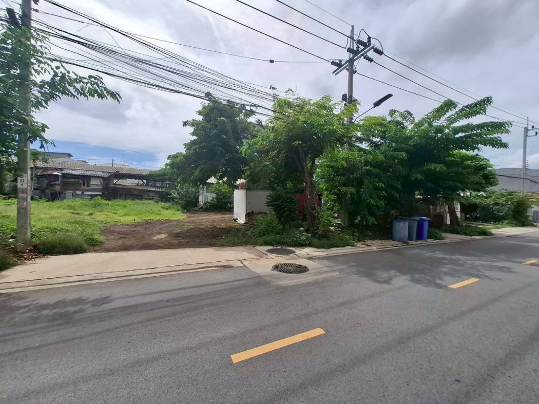 ขาย ที่ดิน ซอยท่านผู้หญิง  เมืองสมุทรปราการ 300 ตรว  ใกล้ถ.เทพารักษ์แค่ 350 ม. KK – รูปที่ 4